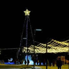 В Первоуральске открылась главная городская елка