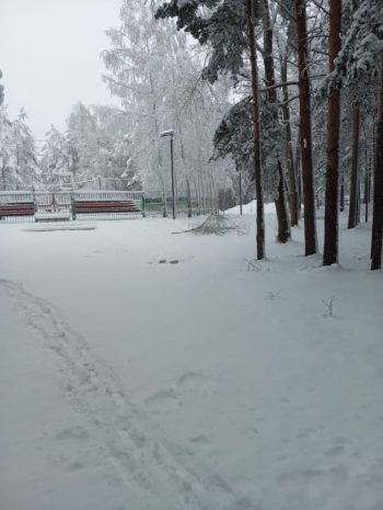 В связи с погодными условиями закрыт вход в Парк новой культуры