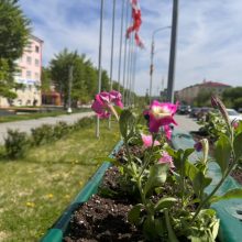 В Первоуральске высадят порядка 23 000 цветов