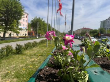 В Первоуральске высадят порядка 23 000 цветов