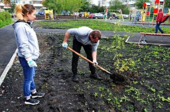 В первоуральском дворе силами волонтёров появились зелёные насаждения