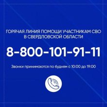 Более 900 звонков поступило с начала 2025 года на горячую линию помощи участникам СВО