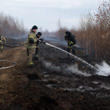 Евгений Куйвашев установил период пожароопасного сезона в 2025 году