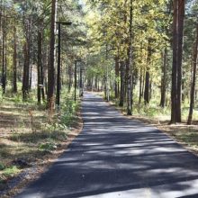 В Парке новой культуры Первоуральска асфальтируют пешеходные дорожки
