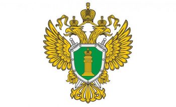 В Первоуральске пройдет прием природоохранной прокуратуры