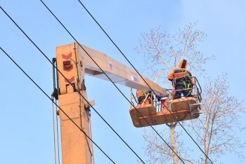 В Первоуральском городском округе завершились ежегодные работы по кронированию и сносу зеленых насаждений