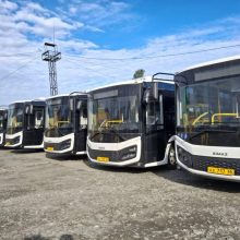 На городские маршруты выходят 8 новых автобусов
