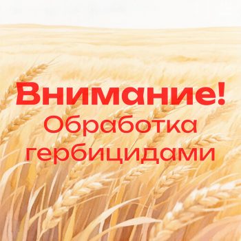 Внимание! Обработка гербицидами