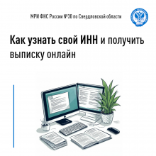 Как узнать свой ИНН и получить выписку онлайн