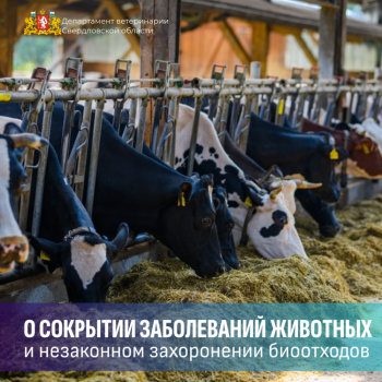 О недопустимости сокрытия заболеваний животных и незаконного захоронения биоотходов