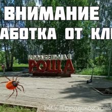 Обработка от клещей “Корабельной рощи”