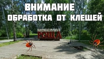 Обработка от клещей “Корабельной рощи”