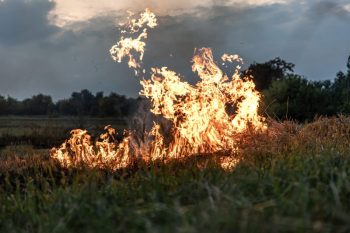 Информация об оперативной обстановке с пожарами на территории муниципального округа Первоуральск
