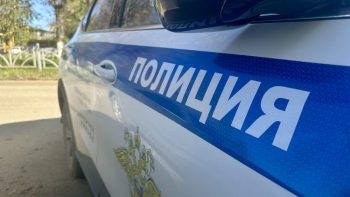 В Первоуральске возбуждено уголовное дело по факту незаконной охоты