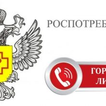 Горячая линия