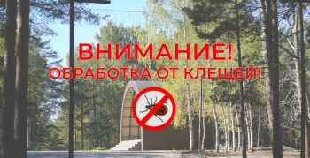 Акарицидная обработка парка Новой культуры