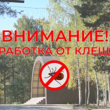 Акарицидная обработка парка Новой культуры
