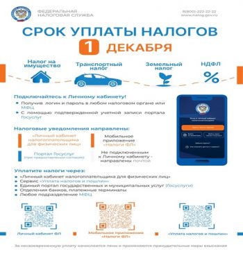 Напоминаем о необходимости уплаты имущественных налогов в срок  не позднее 1 декабря.