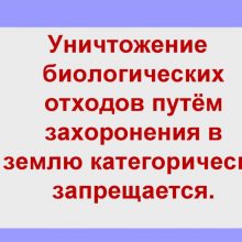 Памятка о недопустимости сокрытия случаев заболевания и/или падежа животных и захоронения биологических отходов в несанкционированных местах
