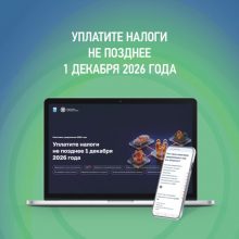 Уплатите налоги не позднее 1 декабря 2026 года