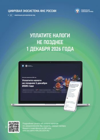 Уплатите налоги не позднее 1 декабря 2026 года