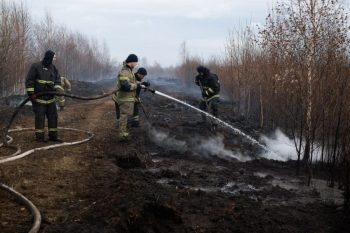 Евгений Куйвашев установил период пожароопасного сезона в 2025 году